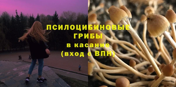 сатива Костерёво
