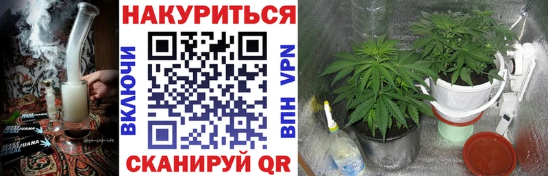 Марихуана VHQ Гаврилов-Ям
